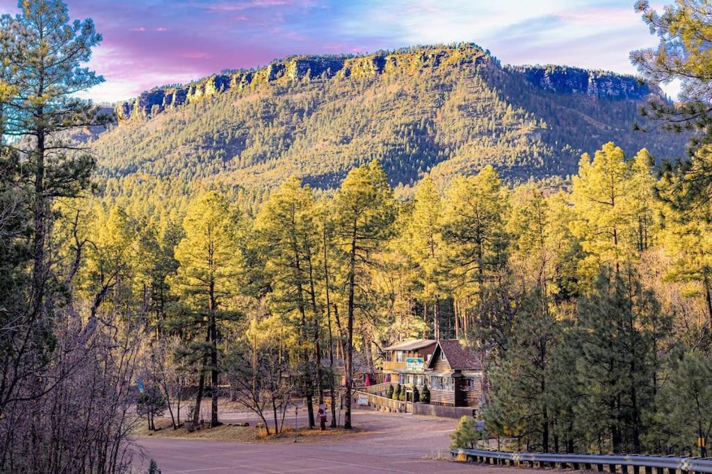 Forest Cabin 3 Bear'S Den Payson Dış mekan fotoğraf